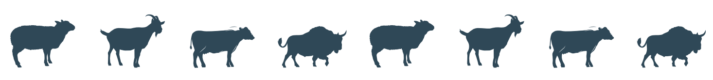 Animals